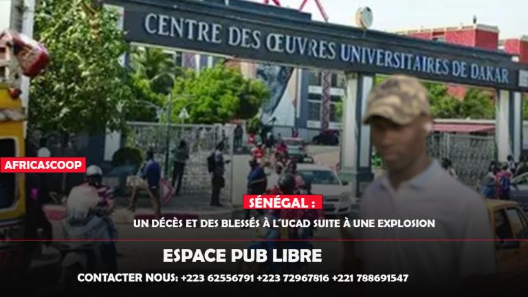 Sans titre-2 copie 211