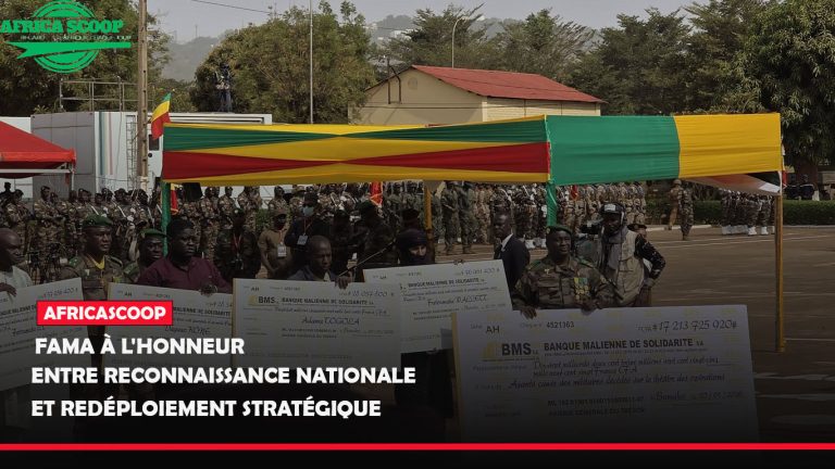 drones civils-Récupéré