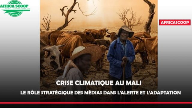 ENVIRONNEMENT