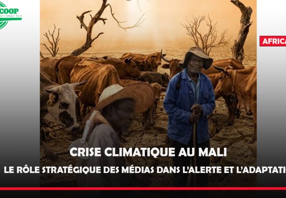 ENVIRONNEMENT