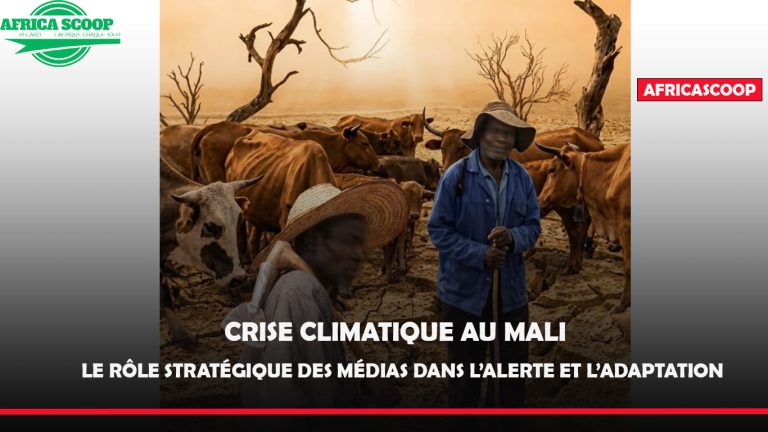 ENVIRONNEMENT