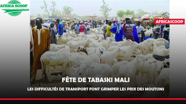 mouton