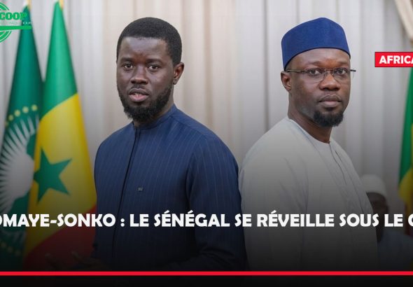 sonko........diom