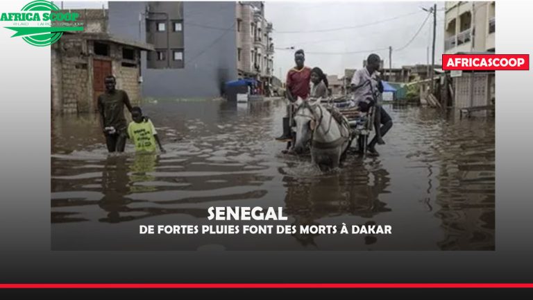 senegal..